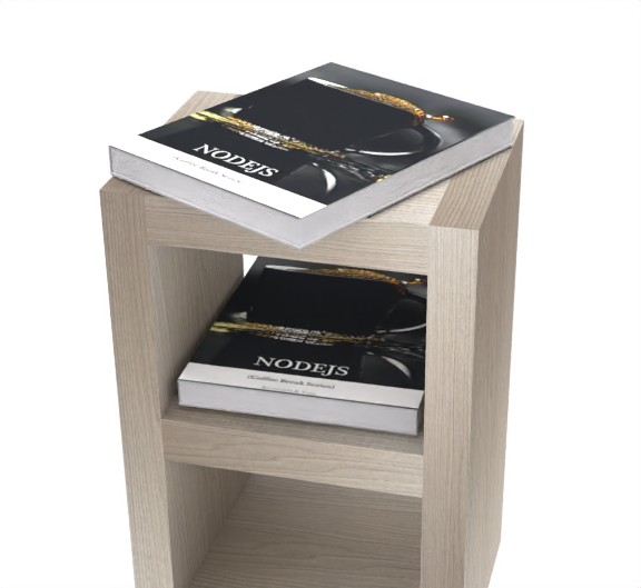 Reader photo of NodeJS in 20 Minutes (Coffee Series)